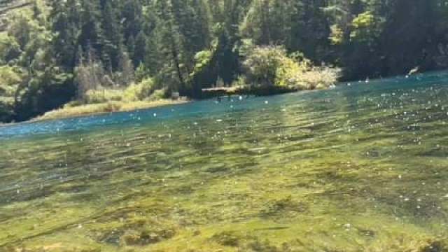 我发布了一个新视频，快来围观吧！