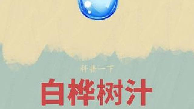 原本这只有春天才能喝到的白桦树汁，如今也可以品尝到了#大自然的馈赠 #白桦树汁 #白桦树