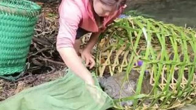 #2024新农人计划 #野外生存 #我的乡村生活