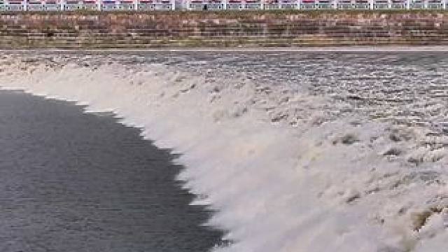 “八月十八潮，壮观天下无”，钱塘江大潮进入最佳观赏期#钱塘江大潮 #海宁观潮