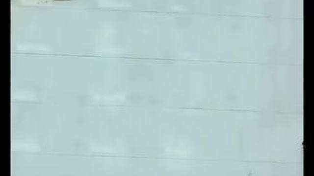 解压的地毯清洗 舒服#解压 #国外视频分享 #地垫 #地毯清洗