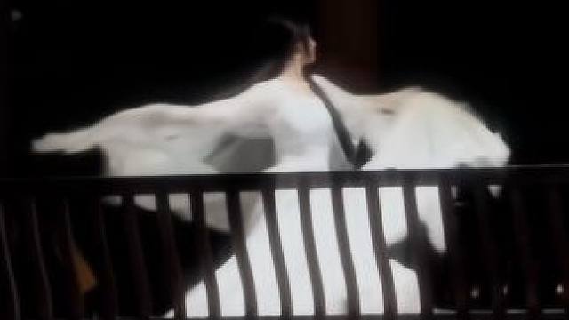 春日宴，绿酒一杯歌一遍#古典舞 #古风舞蹈 #氛围感