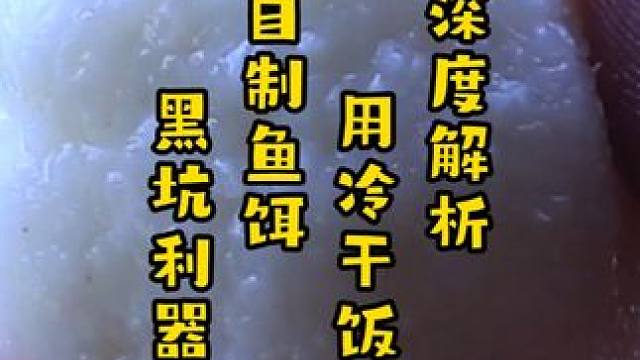 深度解析，用冷干饭自制鱼饵，黑坑野钓滑鱼的利器 深度解析，用冷干饭自制鱼饵，黑坑野钓滑鱼的利器#饵料