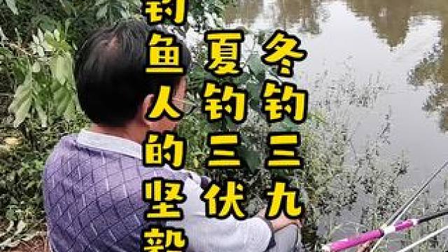 冬钓三九，夏钓三伏，钓鱼人的坚毅钓鱼人：与鱼斗智的勇者 冬钓三九，夏钓三伏，钓鱼人的坚毅钓鱼人：与鱼