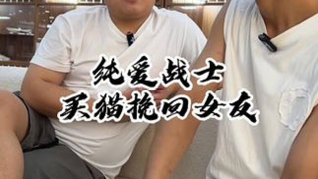 纯爱战士来买猫送给他的前女友 试图这种方式来挽回他们的感情#壮实说猫 #纯爱 #银白拿破仑