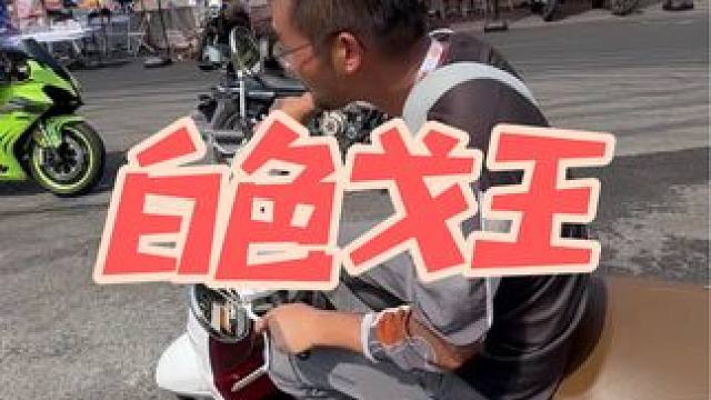 真的是白色戈王 150踏板，已经可以卖这个数了吗？破界戈王，真的又要卷起来了！#破界 #戈王 #15