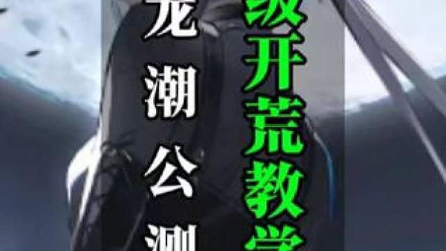 归龙潮公测第一天保姆级开荒攻略，包含官服怎么下，抽卡怎么抽，游戏设置怎么调，队伍搭配怎么搭，探索怎么