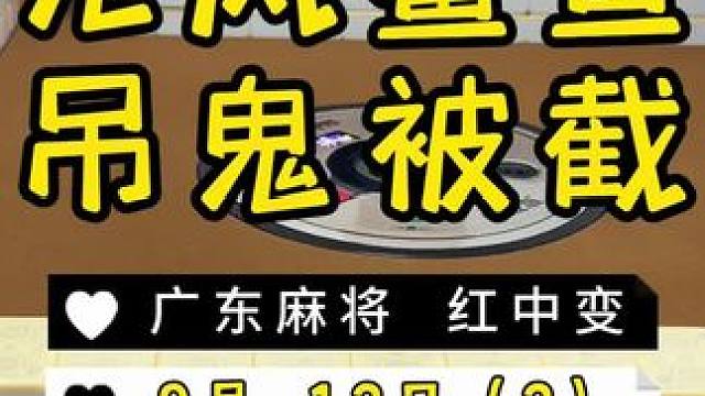 你们的支持就是我更新的动力啦 #麻将治百病 #红中麻将 #广东麻将