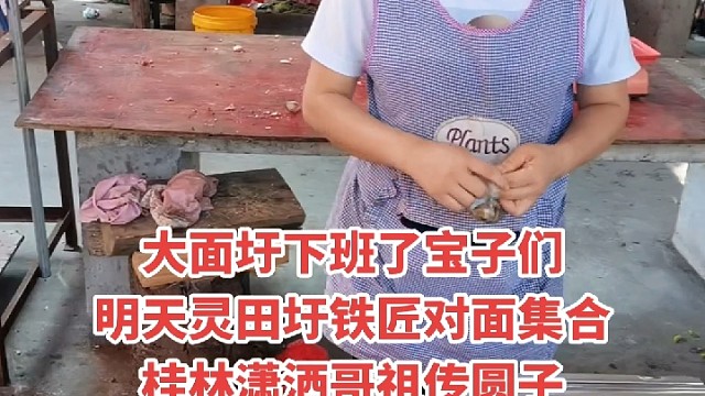 桂林潇洒哥祖传圆子