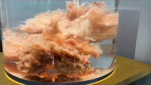 我发布了一个新视频，快来围观吧！