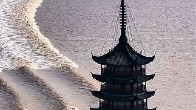 百年占鳌塔与千年钱江潮深情相望，历史与自然交相辉映，美不胜收#钱塘江大潮 #盐官古城 #海宁观潮