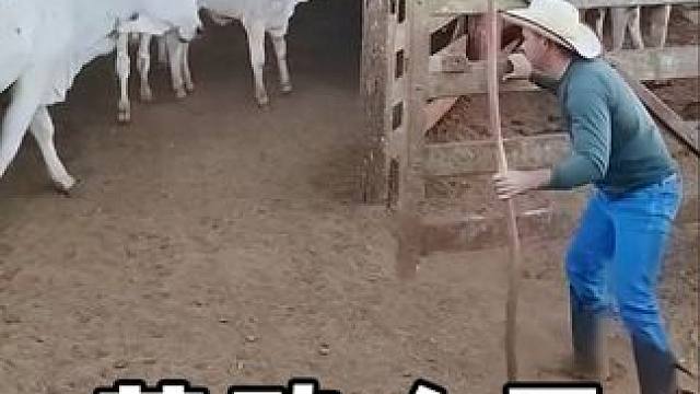 #劳动人民的智慧 #神操作 #高手在民间 #生活小妙招 #创意发明