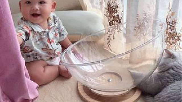 今天是阿蛋带娃老母亲我终于可以休息一会儿了 