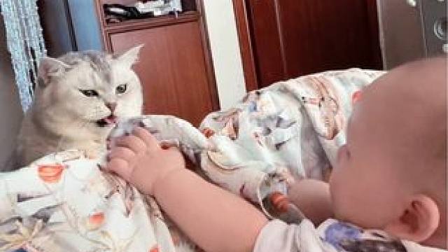 阿b说老弟你乖我就亲你一口 #猫和孩子 #小猫是我的解药呀