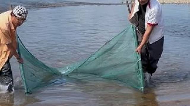 #户外捕鱼 #好多鱼