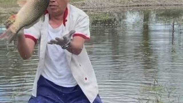 #户外捕鱼 #好大一条鱼