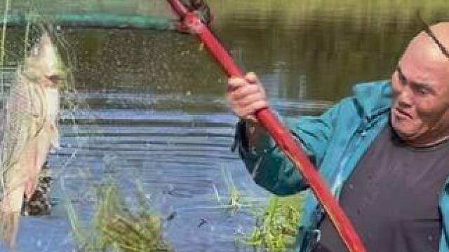 #户外捕鱼 #好大一条鱼