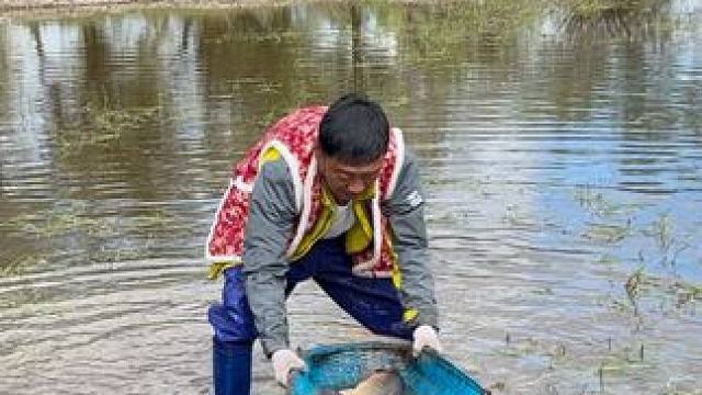 #户外捕鱼 #好大一条鱼