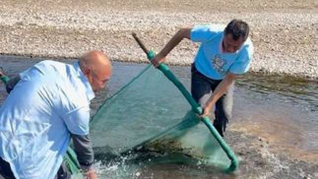 #户外捕鱼 #好多鱼