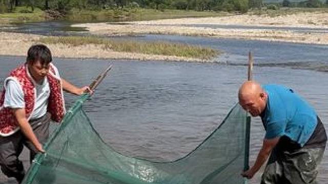 #户外捕鱼 #好多鱼