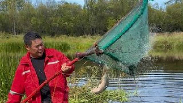 #户外捕鱼 #好大一条鱼