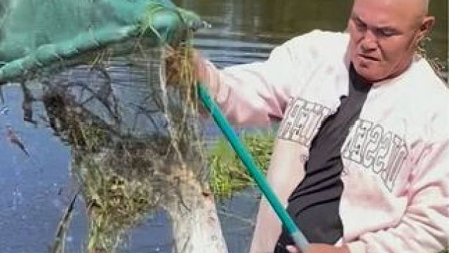 #户外捕鱼 #好大一条鱼