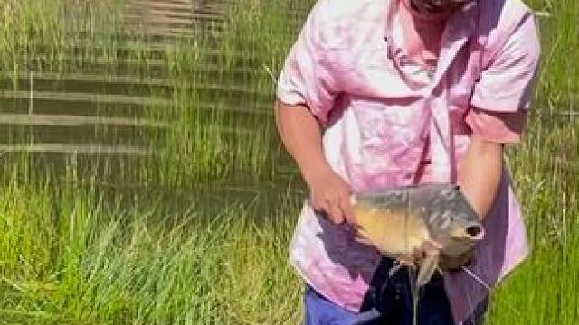 #户外捕鱼 #好大一条鱼