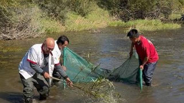 #户外捕鱼 #好多鱼