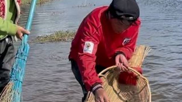 #户外捕鱼 #好多鱼