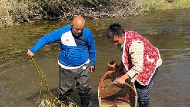 #户外捕鱼 #好多鱼