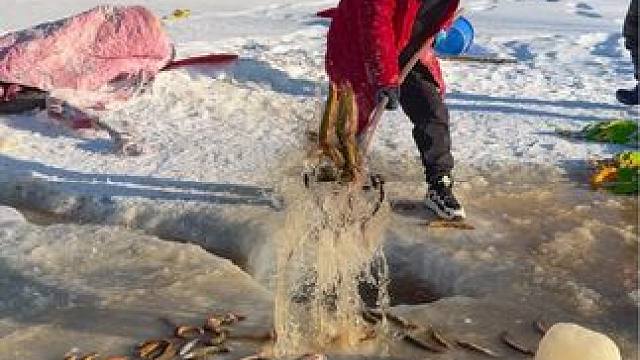 #户外捕鱼 #好多鱼