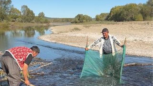 #户外捕鱼 #好多鱼