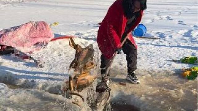 #户外捕鱼 #好多鱼