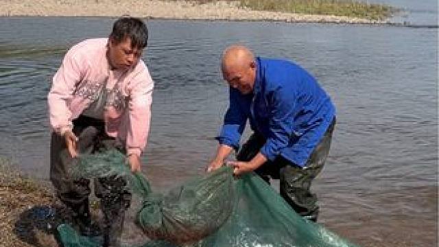 #户外捕鱼 #好多鱼