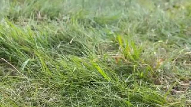 #唯有足球不可辜负 #dou来足球季 #足球鞋 #足球 #遇见足球 保持热爱，奔赴山海