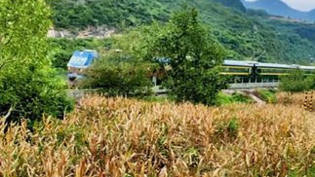 宝成铁路客运列车途径聂家湾站#沿途风景随拍#带你看风景 #我是家乡陇南文旅推荐官