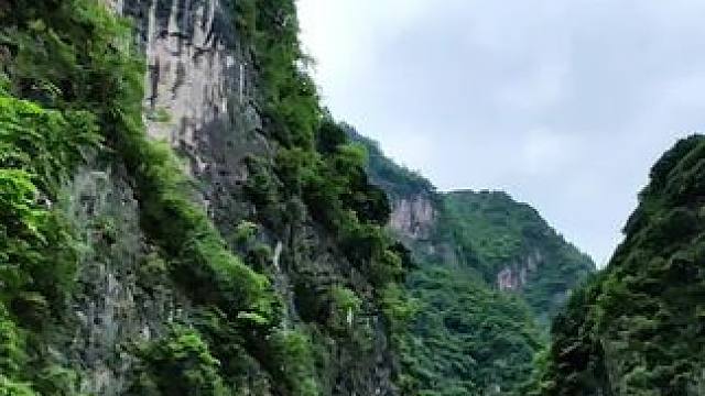 两当云屏三峡#悬崖峭壁上的风景 #沿途风景随拍#我是家乡陇南文旅推荐官