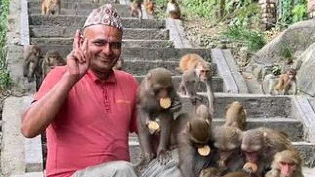 猴子吃饼干 #国外视频分享 #野生动物零距离 #猴子成精