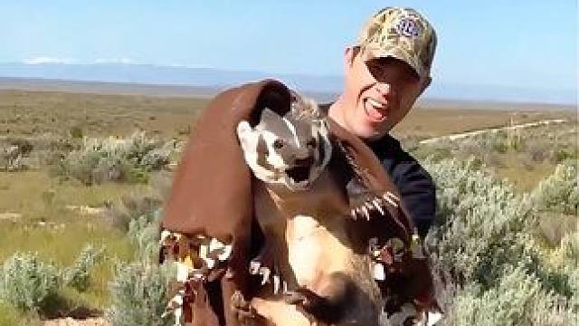 国外小哥路遇狗獾斗智斗勇 #荒野求生 #原始技术 #纪录片解说