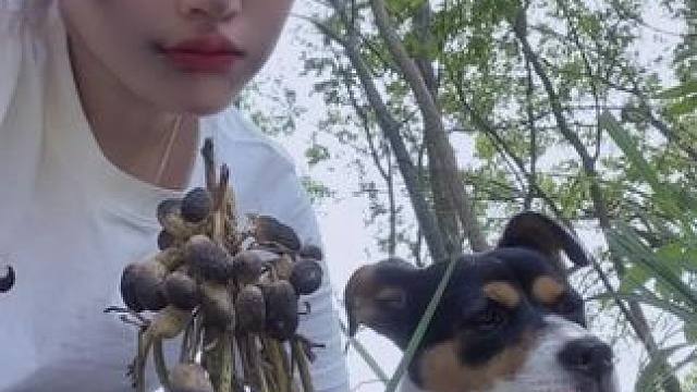 熊我“吃嘴猴托生里”薅那两颗花生
不够我败坏里 咋了又#田间地头  #乡愁记忆 #农村生活