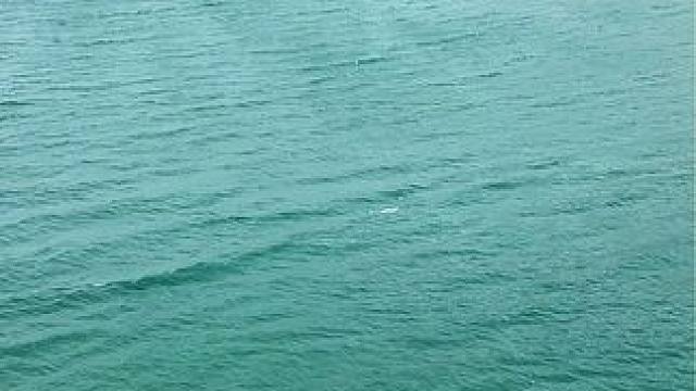 特克斯八卦城境内的恰甫其海水库，很大很蓝，沿着湖边的公路行程，心旷神怡。#这里是新疆 #特克斯八卦城