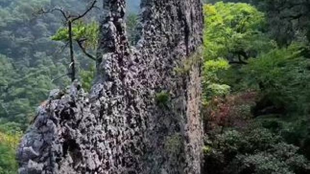 有人说，几亿万年前，这石头就这样，为啥就没有风化呢？#大山深处自然美