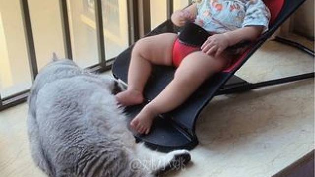 据说小猫本来就是你的孩子 #猫和孩子 #这世界不能没有小猫