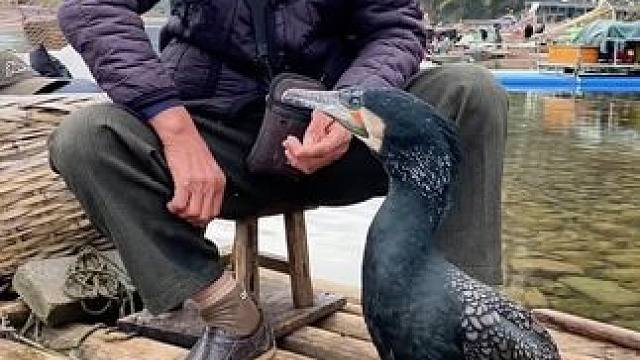 #就想在桂林看山山水水 #漓江渔翁 #旅行推荐官 #大好河山一起打卡