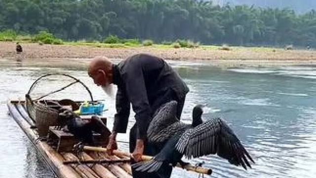 #就想在桂林看山山水水 #旅行推荐官 #漓江渔翁