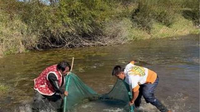 #户外捕鱼 #好多鱼