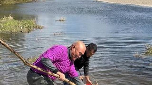 #户外捕鱼 #好多鱼