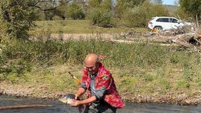 #户外捕鱼 #好大一条鱼