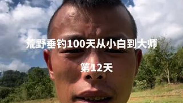 荒野垂钓100天从小白到大师｜第12天：欲换钓位而不能，继续坚守，我就不信守不起来窝点的大鲤鱼#做大