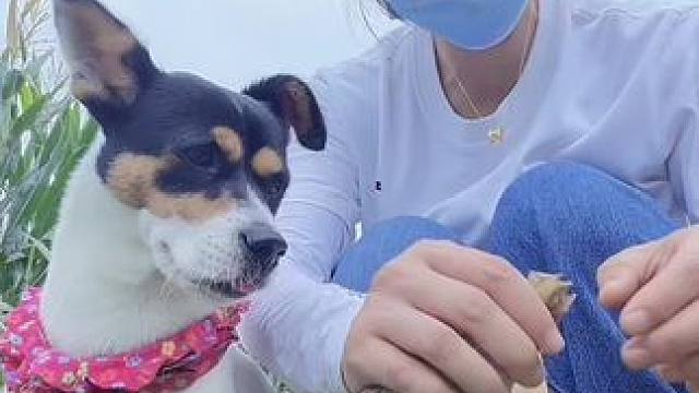 看不到头 热S人
掰了个掰兔兔掰 您讷……#田间地头   #乡愁记忆 #农民种地不容易 #农村生活